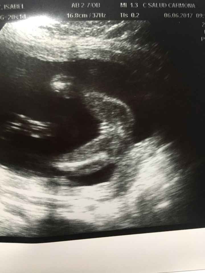 ¡nuevo! futuras mamis de octubre 2017 - 1