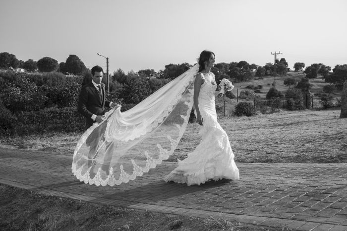 Candidato mejor vestido de novia