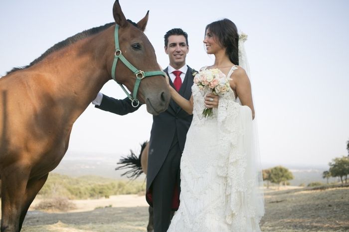 Candidato mejor vestido de novia