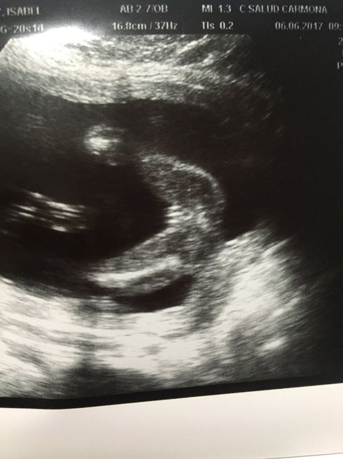 ¡nuevo! futuras mamis de octubre 2017 - 1