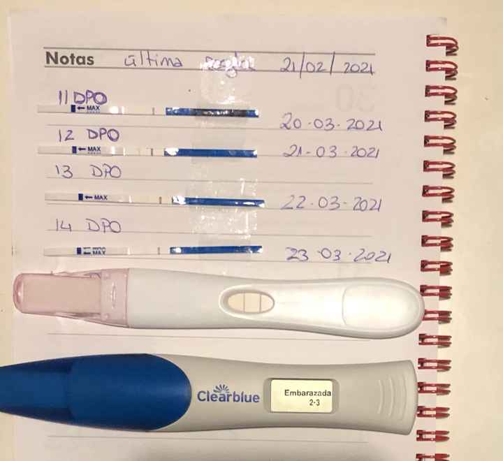 Buscadoras Marzo 2021 💪💘👶🏻 - 1
