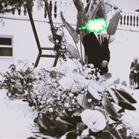 Experiencia muy negativa con el fotógrafo “el Recuerdo Perfecto de Sevilla” – No lo recomendamos - 4