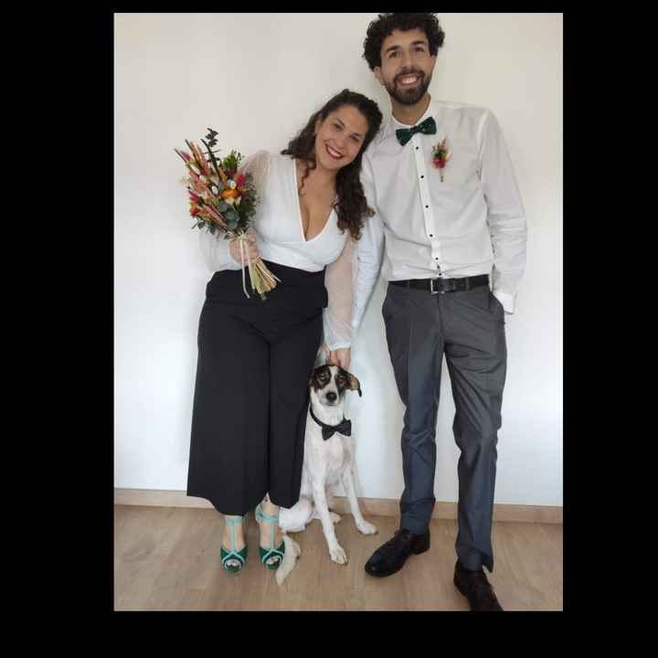 Regalo Miniboda por Navidades 🎄 - 1