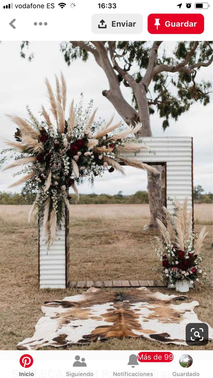 Pampas Grass - 2