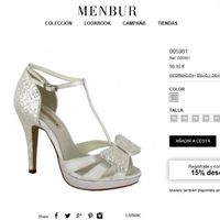 Zapato en la web