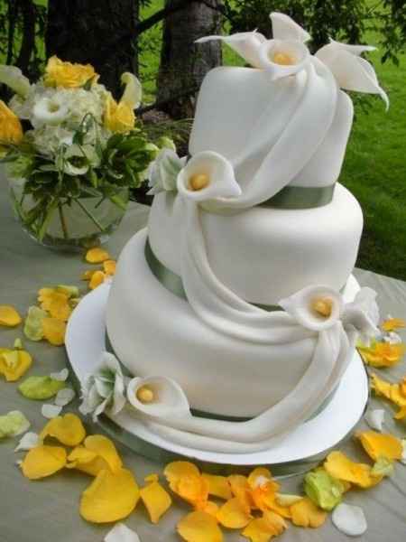 tarta 5