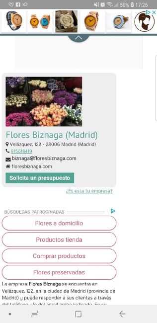 Biznagas en Madrid 3
