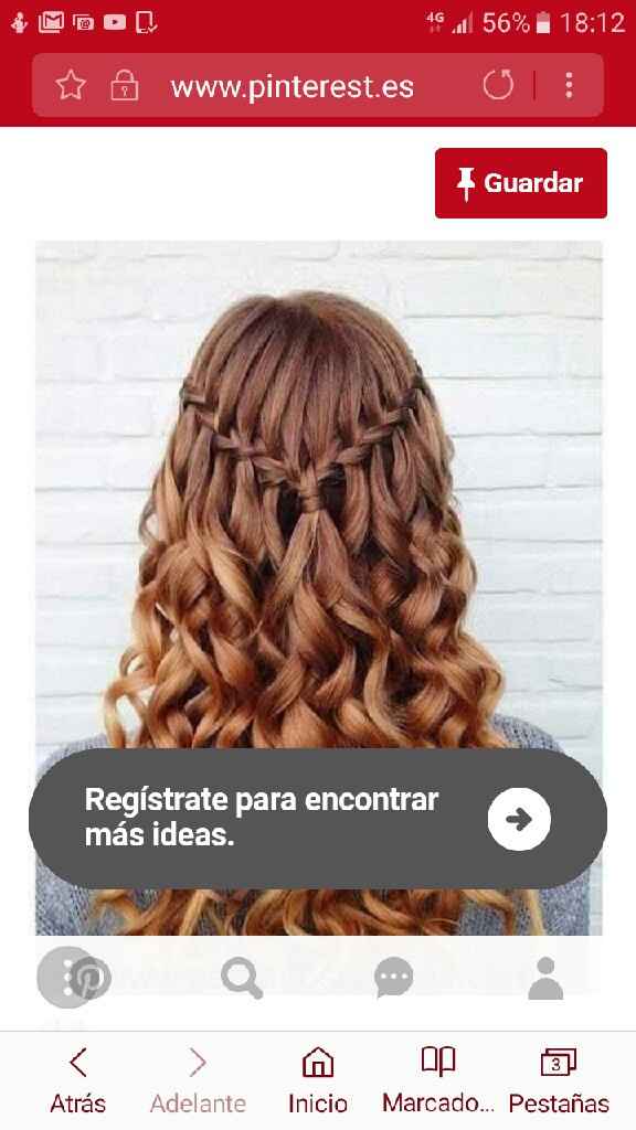 El pelo...menudo dilema - 1