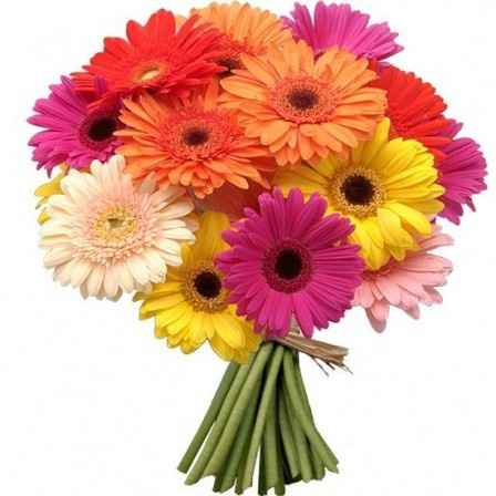 flores
