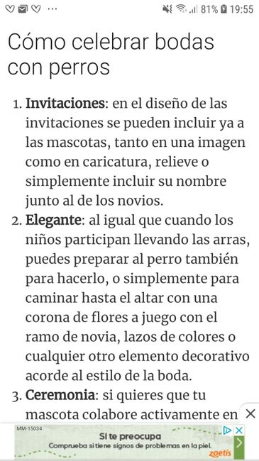 Tus Mascotas en tu boda 🐕🐩🐱 13