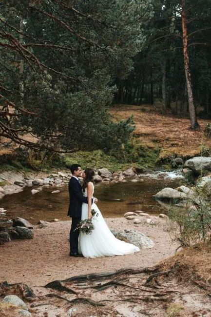 Ideas para una boda en el bosque 🌲🌲🌲 8