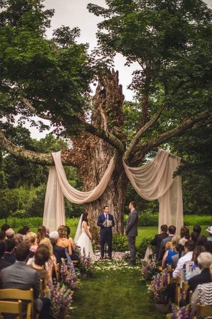 Ideas para una boda en el bosque 🌲🌲🌲 9