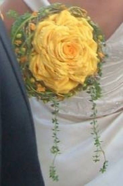 amarillo