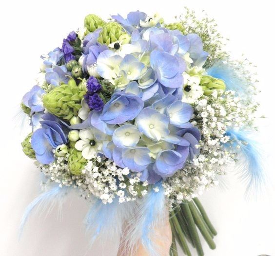 Ramo4