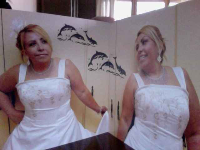 Mis delfines