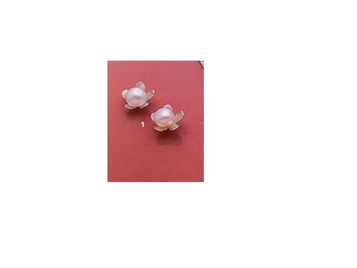 Pendientes 2