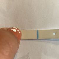 Necesito ayuda evaporacion o positivo? - 2