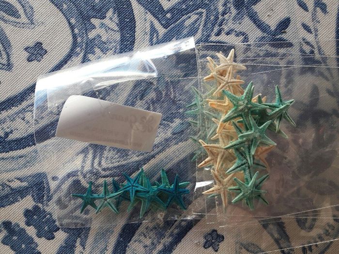  Caracolas y estrellas de mar - 2