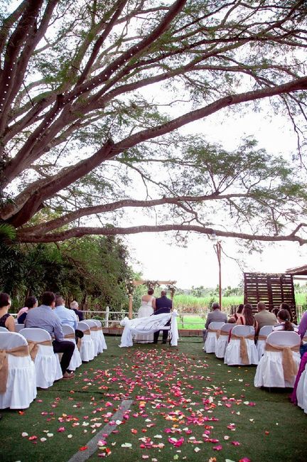  Fotos de la Boda ❤ - 2