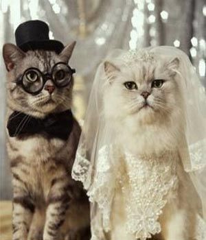 Pareja de noviatos