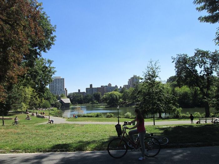 Central Park