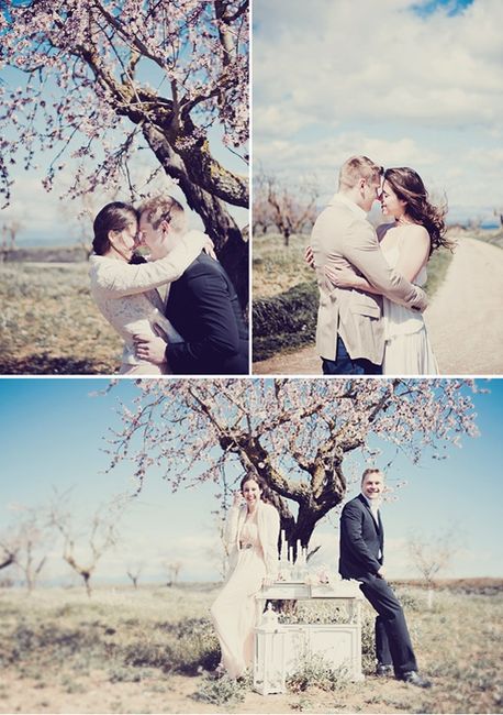 Collage almendros
