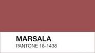 Color Marsala