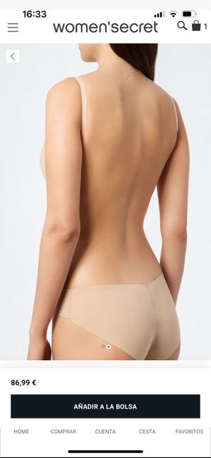 Ropa interior 1