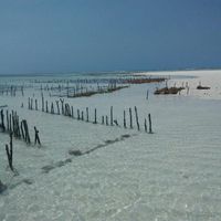 Tanzania y zamzibar - 3