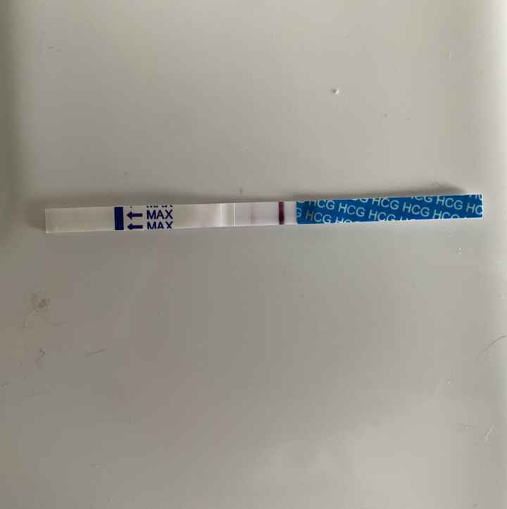Buscadoras febrero 2021 💜👶🏻✨ - 1