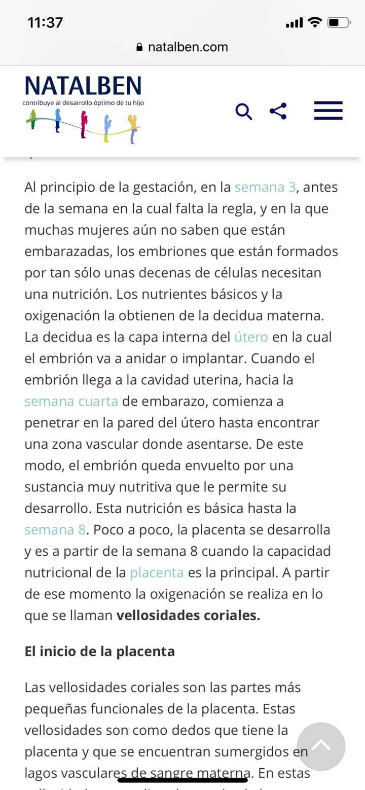Buscadoras Abril 2019 - 1