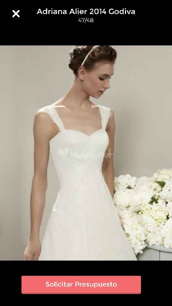  Mi posible vestido - 2