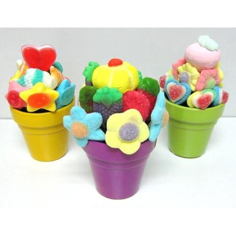 macetas de chuches