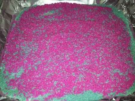 Arroz teñido con papel pinocho!!! el mio!! - 2