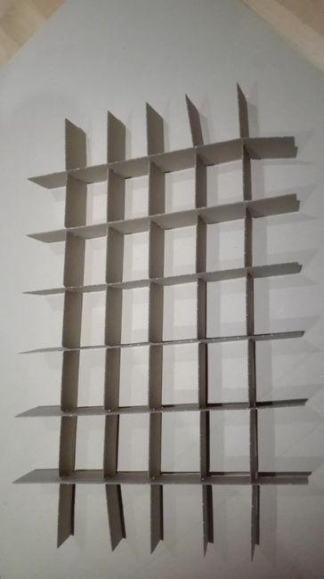 celdillas de carton