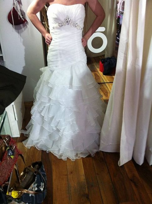 Mi Vestido 