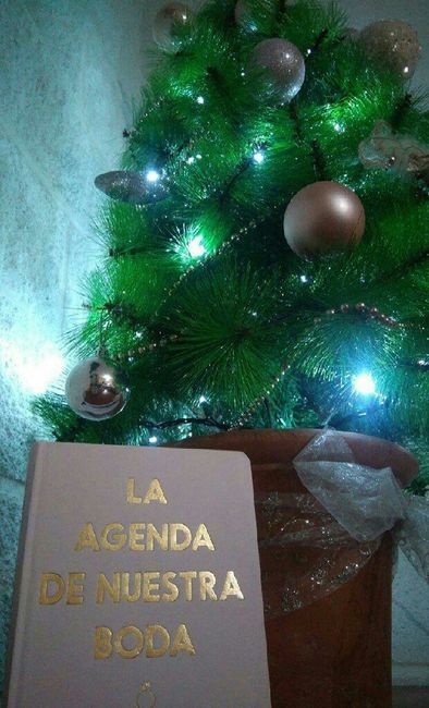 Agenda para novias - 1