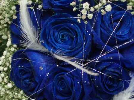 Que color va a complementar vuestra boda??? - 2