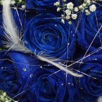 Que color va a complementar vuestra boda??? - 2