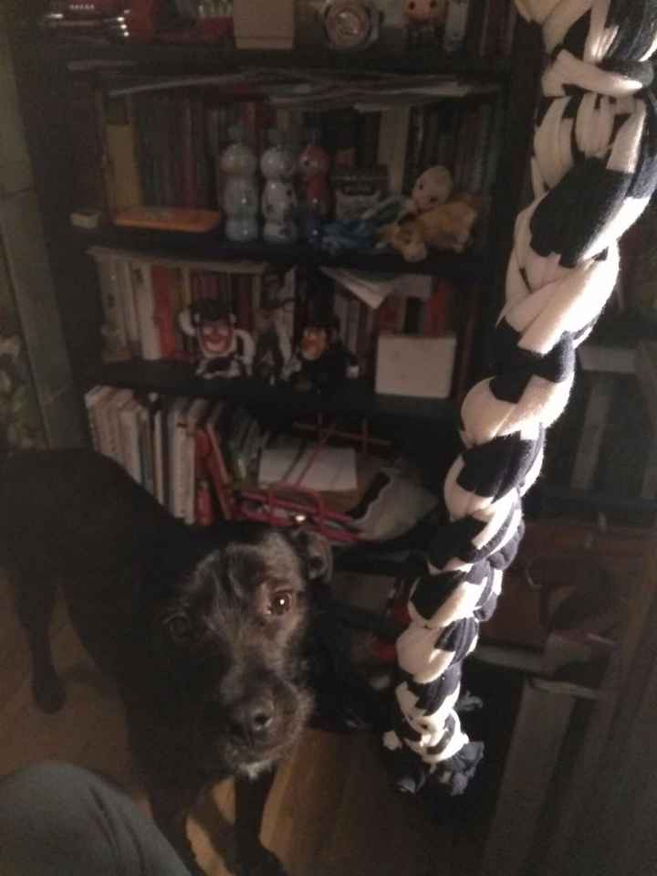Atnasari y su nuevo nudo handmade