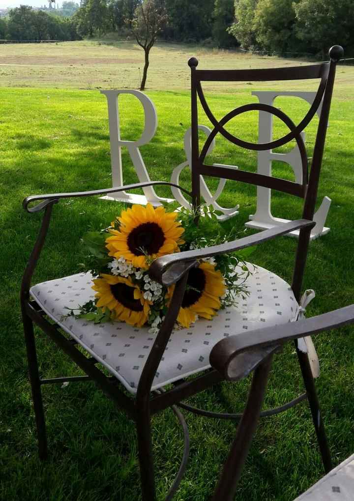 Girasoles!
