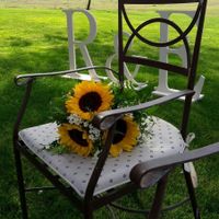 Girasoles!