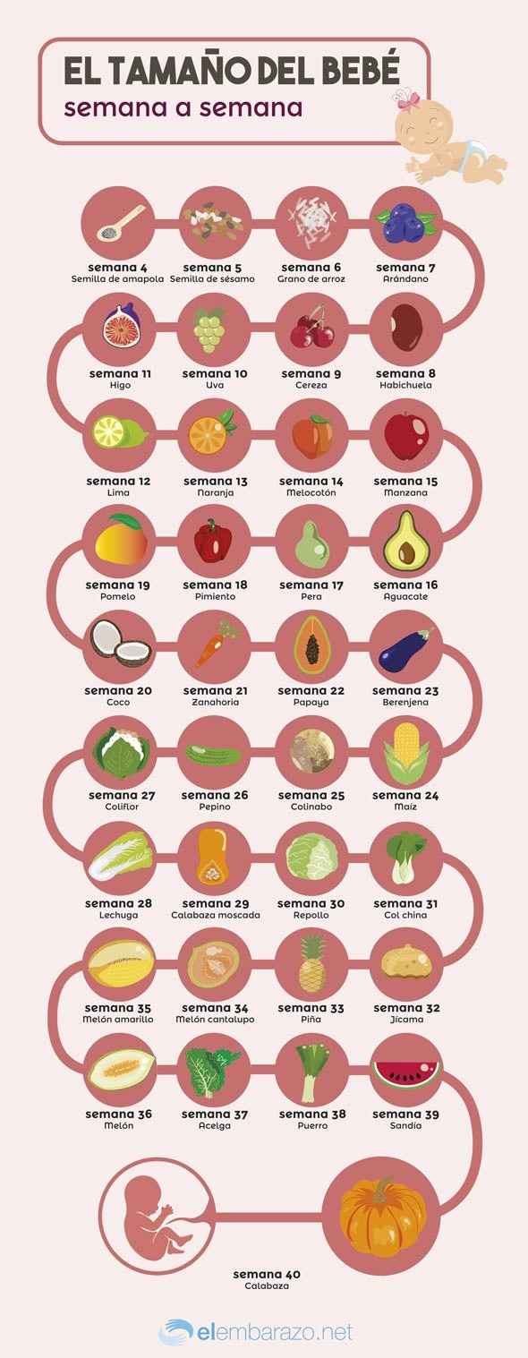FRUTITAS
