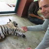 Con tigre pequeño