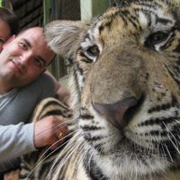 Con tigre mediano