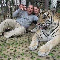 Con tigre grande