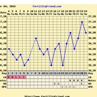 Decálogo de las gráficas de temperatura basal - 1