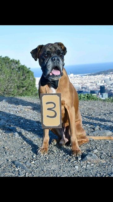 Sitting plan perrunooo!!!! 😍😍😍 - 3