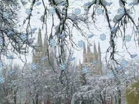 Catedral de Burgos