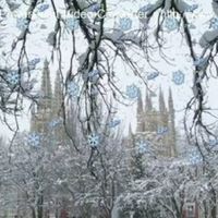Catedral de Burgos